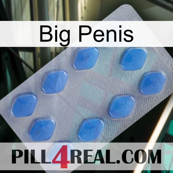 Big Penis 21.jpg